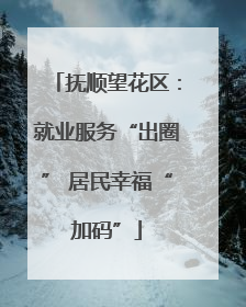 抚顺望花区：就业服务“出圈” 居民幸福“加码”