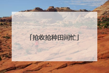 抢收抢种田间忙