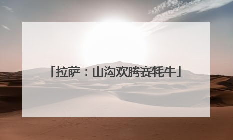 拉萨：山沟欢腾赛牦牛