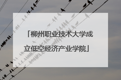 柳州职业技术大学成立低空经济产业学院