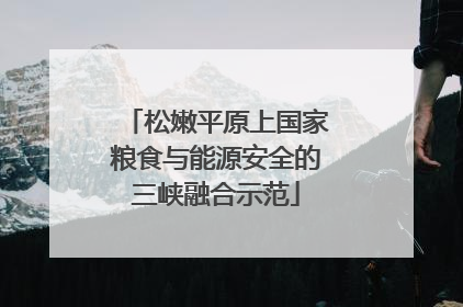 松嫩平原上国家粮食与能源安全的三峡融合示范