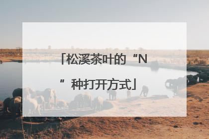 松溪茶叶的“N”种打开方式
