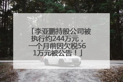 李亚鹏持股公司被执行约244万元，一个月前因欠税561万元被公告！