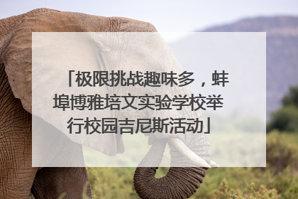 极限挑战趣味多，蚌埠博雅培文实验学校举行校园吉尼斯活动