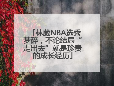 林葳NBA选秀梦碎，不论结局“走出去”就是珍贵的成长经历