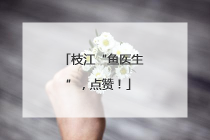 枝江“鱼医生”，点赞！