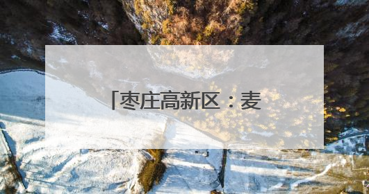 枣庄高新区：麦浪千重收割忙 多措并举保丰收