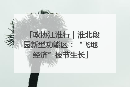 政协江淮行｜淮北段园新型功能区：“飞地经济”拔节生长