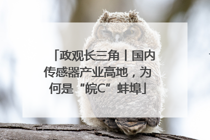 政观长三角丨国内传感器产业高地，为何是“皖C”蚌埠