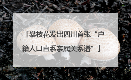 攀枝花发出四川首张“户籍人口直系亲属关系谱”