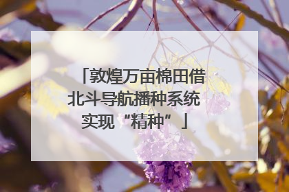 敦煌万亩棉田借北斗导航播种系统实现“精种”
