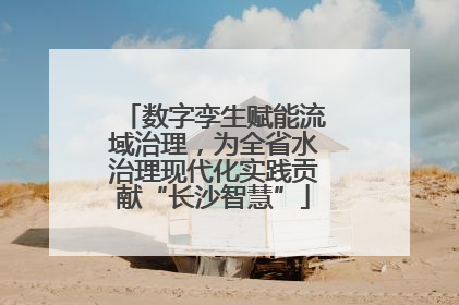 数字孪生赋能流域治理，为全省水治理现代化实践贡献“长沙智慧”