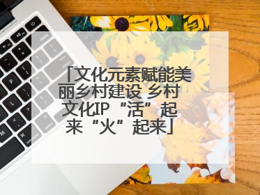 文化元素赋能美丽乡村建设 乡村文化IP“活”起来“火”起来