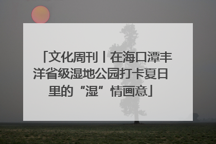 文化周刊丨在海口潭丰洋省级湿地公园打卡夏日里的“湿”情画意