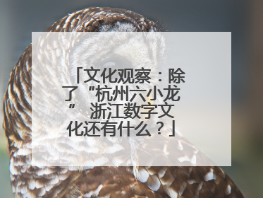 文化观察：除了“杭州六小龙” 浙江数字文化还有什么？