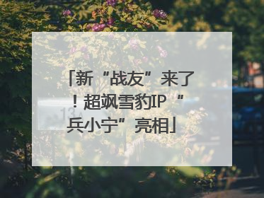 新“战友”来了！超飒雪豹IP“兵小宁”亮相
