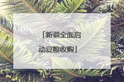 新疆全面启动夏粮收购