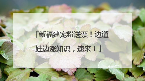 新福建宠粉送票！边遛娃边涨知识，速来！