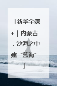 新华全媒+｜内蒙古：沙海之中建“蓝海”