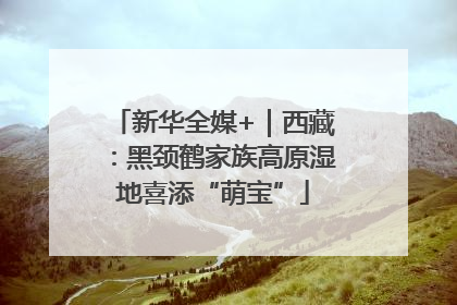 新华全媒+｜西藏：黑颈鹤家族高原湿地喜添“萌宝”