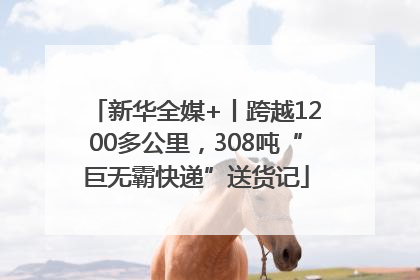 新华全媒+丨跨越1200多公里，308吨“巨无霸快递”送货记