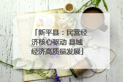 新平县：民营经济核心驱动 县域经济高质量发展