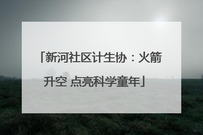 新河社区计生协：火箭升空 点亮科学童年