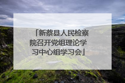新蔡县人民检察院召开党组理论学习中心组学习会
