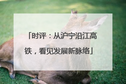 时评：从沪宁沿江高铁，看见发展新脉络