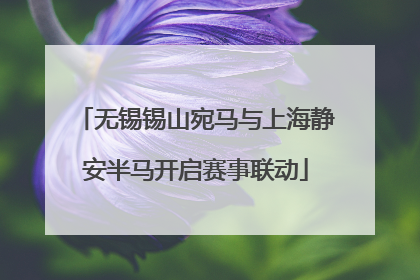 无锡锡山宛马与上海静安半马开启赛事联动