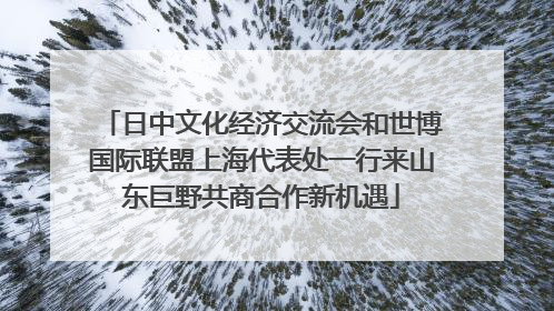 日中文化经济交流会和世博国际联盟上海代表处一行来山东巨野共商合作新机遇