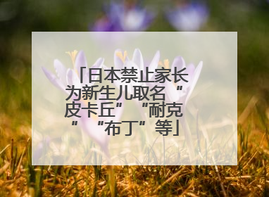 日本禁止家长为新生儿取名“皮卡丘”“耐克”“布丁”等