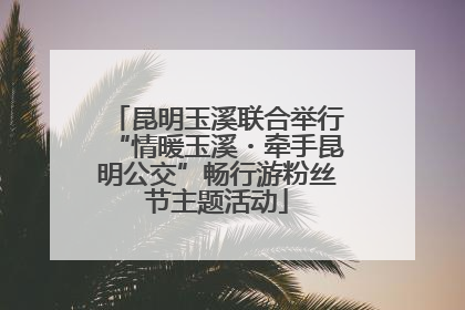 昆明玉溪联合举行“情暖玉溪・牵手昆明公交”畅行游粉丝节主题活动
