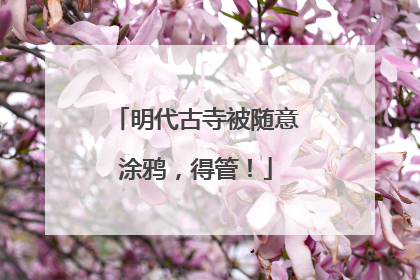 明代古寺被随意涂鸦，得管！