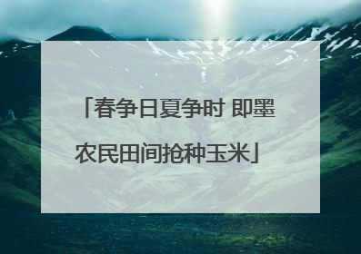 春争日夏争时 即墨农民田间抢种玉米