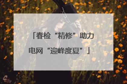 春检“精修”助力电网“迎峰度夏”
