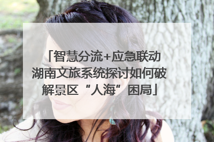 智慧分流+应急联动 湖南文旅系统探讨如何破解景区“人海”困局