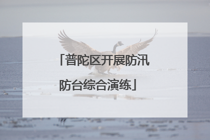 普陀区开展防汛防台综合演练