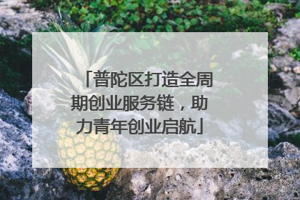 普陀区打造全周期创业服务链，助力青年创业启航