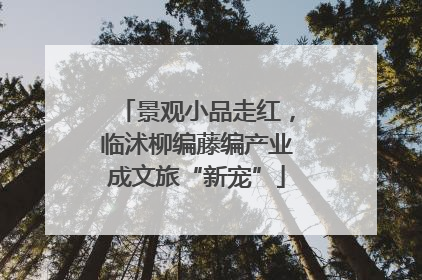 景观小品走红，临沭柳编藤编产业成文旅“新宠”