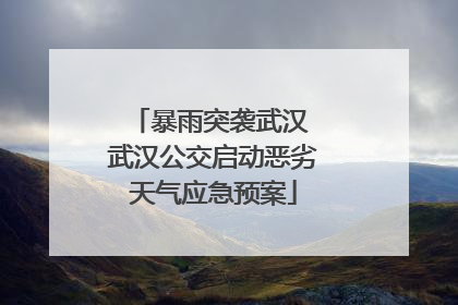暴雨突袭武汉 武汉公交启动恶劣天气应急预案