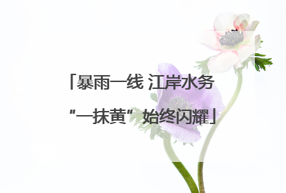 暴雨一线 江岸水务“一抹黄”始终闪耀