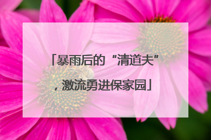 暴雨后的“清道夫”，激流勇进保家园