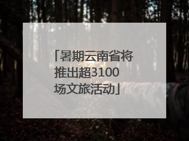 暑期云南省将推出超3100场文旅活动
