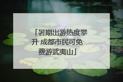 暑期出游热度攀升 成都市民可免费游武夷山