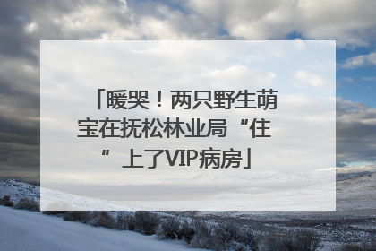 暖哭！两只野生萌宝在抚松林业局“住”上了VIP病房