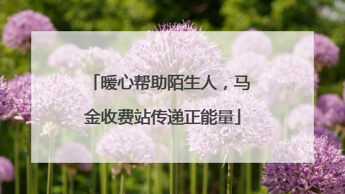 暖心帮助陌生人，马金收费站传递正能量