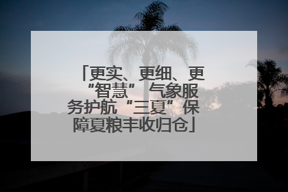 更实、更细、更“智慧” 气象服务护航“三夏”保障夏粮丰收归仓