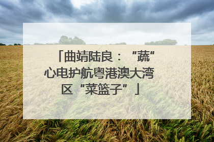 曲靖陆良：“蔬”心电护航粤港澳大湾区“菜篮子”