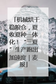 机械烘干稳粮仓，夏收夏种一体化！“三夏”生产跑出加速度｜麦报
